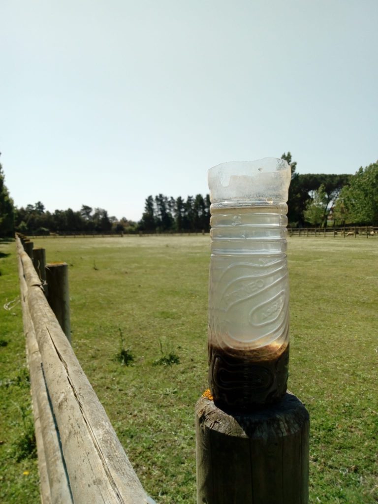 ¿Qué son los fangos activos?