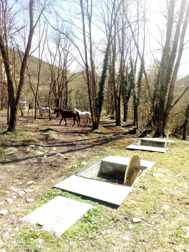 Depuradora Planta Compostaje