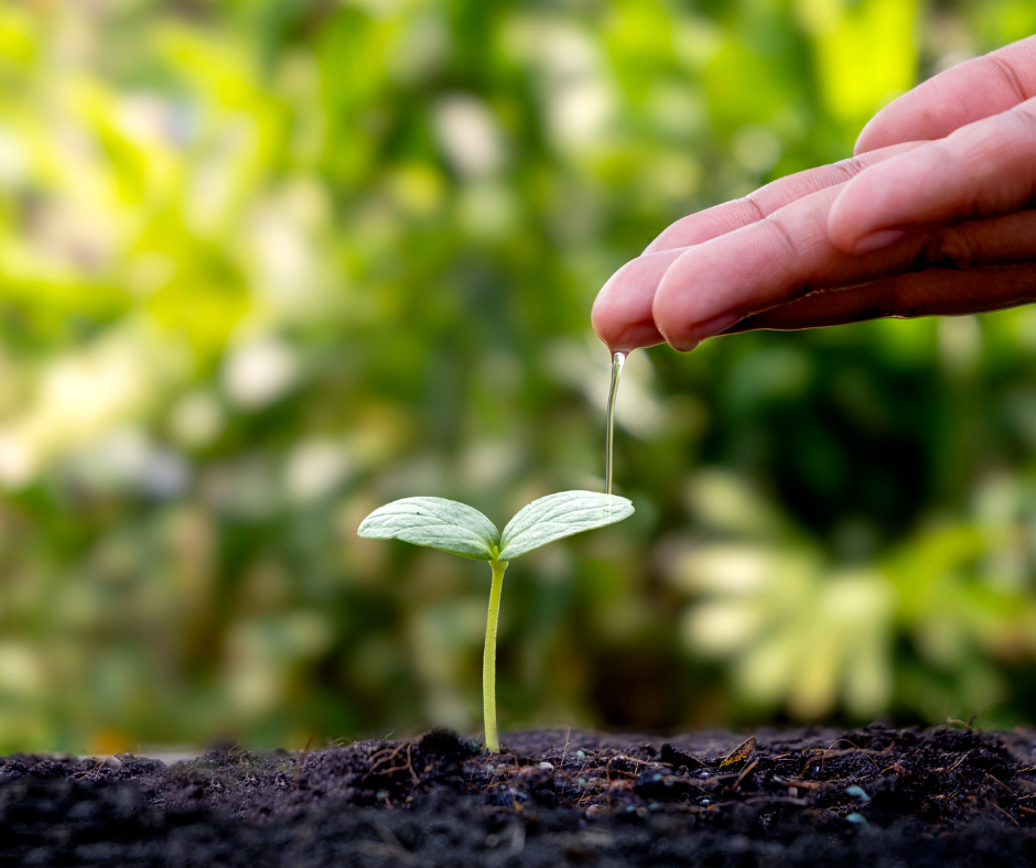 Empresa Depuradoras1